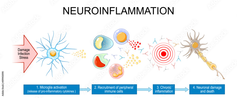 1000 f 899458190 54fr92yzyhyuscftftodmplnrweu1dpn